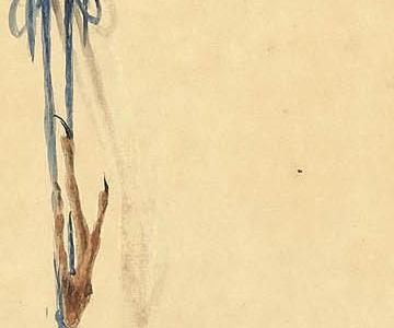 Фрагмент A HANGING SNIPE