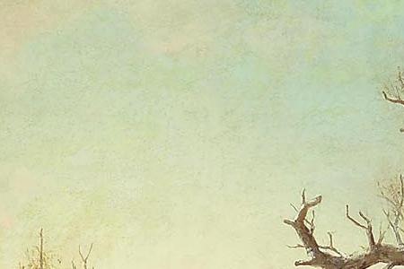 Фрагмент A Russian village in winter