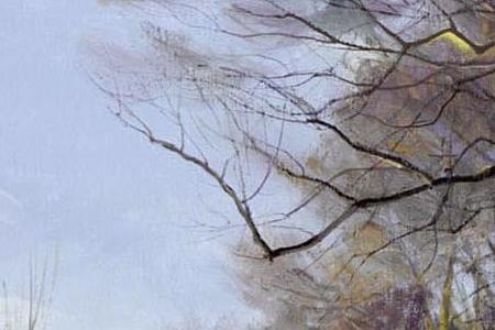 Фрагмент A SNOWY LANDSCAPE