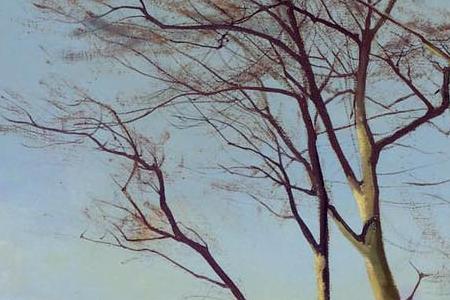 Фрагмент A SNOWY LANDSCAPE