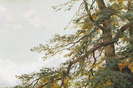 Фрагмент A summer