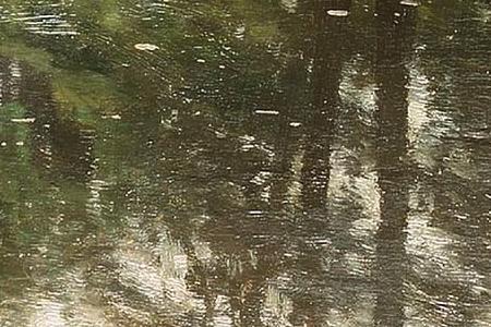 Фрагмент A tranquil river in a wood