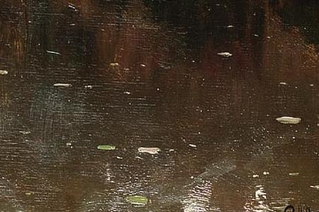 Фрагмент A tranquil river in a wood