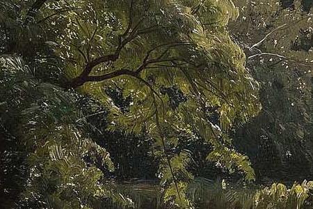 Фрагмент A tranquil river