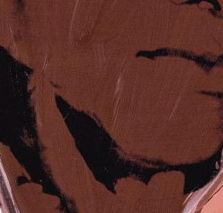 Фрагмент ADIES AND GENTLEMEN грязно розовый