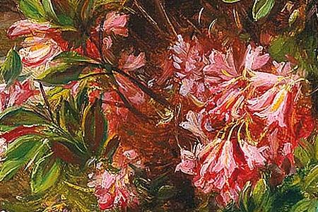 Фрагмент Alpine roses from Styria