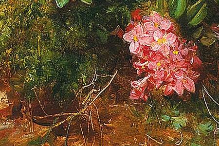 Фрагмент Alpine roses from Styria