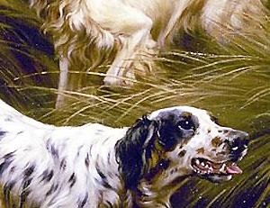 Фрагмент Английский сеттер на болоте