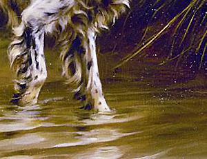 Фрагмент Английский сеттер на болоте