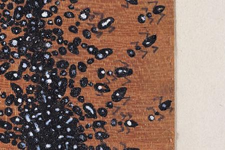 Фрагмент Ants