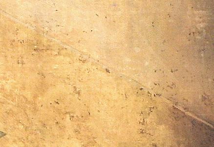 Фрагмент Апельсиновое дерево