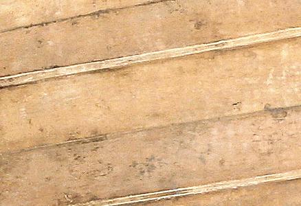 Фрагмент Апельсиновое дерево