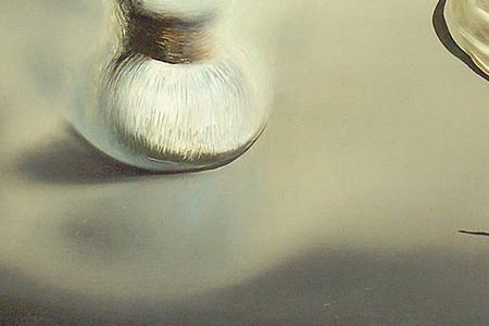 Фрагмент Apparition of a Face and Fruit Dish on a Beach
