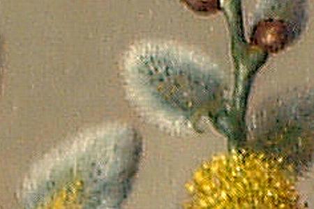 Фрагмент April Showers