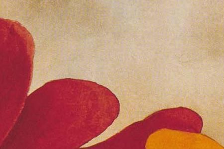 Фрагмент Астры