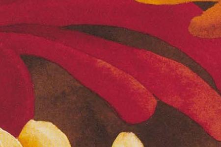 Фрагмент Астры