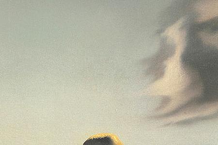 Фрагмент Autumnal Cannibalism