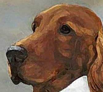 Фрагмент Барон фон Кокер