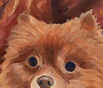 Фрагмент Baron Von Fluff