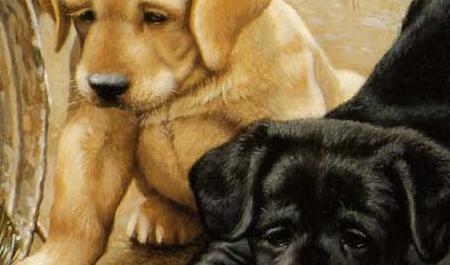 Фрагмент Bass Masters