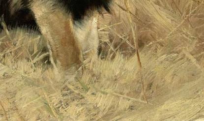 Фрагмент BEBERL WE BERBER LION AND A SHEET OF PENCIL SKETCHES OF LIONS