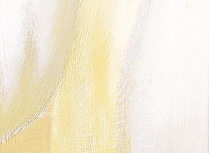 Фрагмент Белые Тюльпаны