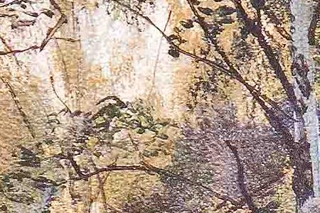 Фрагмент Березовая роща.