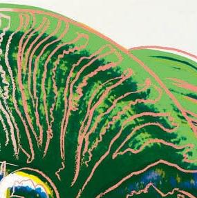 Фрагмент Bighorn Ram from Endangered Species зеленые рога и серый фон