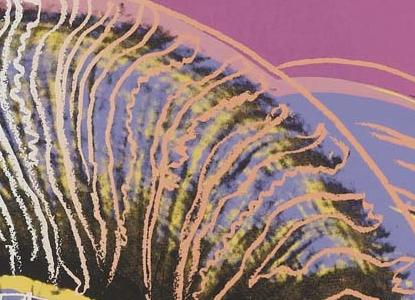 Фрагмент BIGHORN RAM SEE на темно розовом фоне