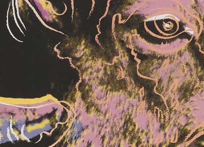 Фрагмент BIGHORN RAM SEE на темно розовом фоне