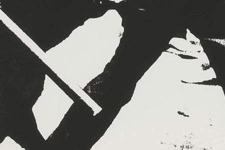 Фрагмент BIRMINGHAM RACE RIOT