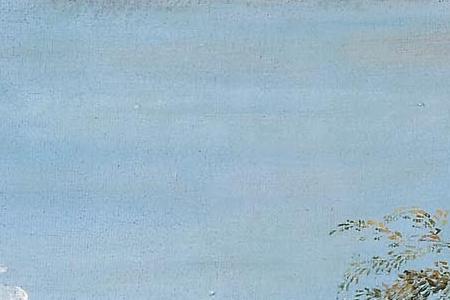 Фрагмент Bison Palmanova