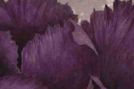 Фрагмент BLACK PLUM 1