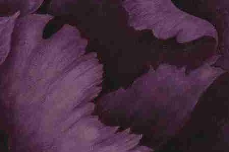 Фрагмент BLACK PLUM 1