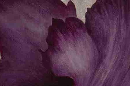 Фрагмент BLACK PLUM 2