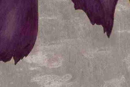 Фрагмент BLACK PLUM 2