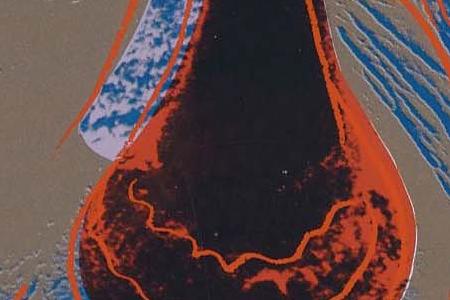 Фрагмент BLACK RHINOCEROS в бирюзово голубых тонах