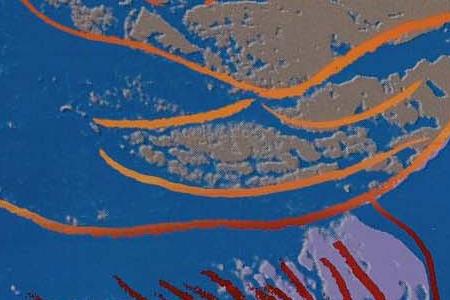 Фрагмент BLACK RHINOCEROS в бирюзово голубых тонах