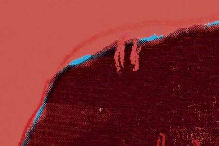 Фрагмент BLACKGLAMA (JUDY GARLAND розовый фон