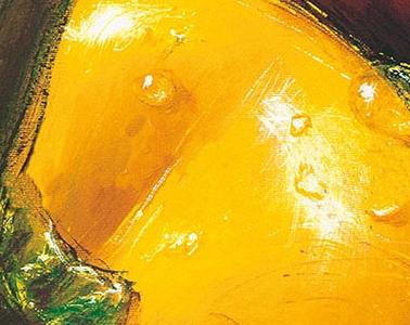 Фрагмент Болгарский перец