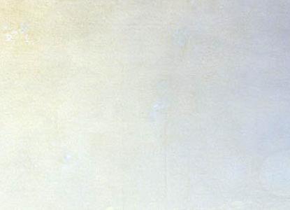 Фрагмент Бой парохода «Веста» с турецким броненосцем «Фехти-Буленд» в Чёрном море 11 июля 1877 года