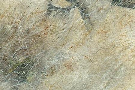 Фрагмент Buffalo in Liwonde