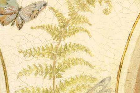 Фрагмент Butterfly tulip.