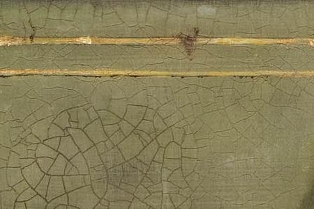 Фрагмент Butterfly tulip.