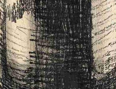 Фрагмент CABERNET SAVIGNON