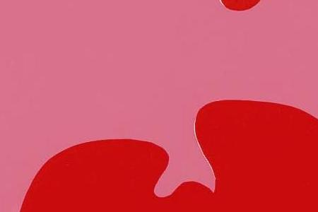 Фрагмент CAMOUFLAGE: ONE PLATE