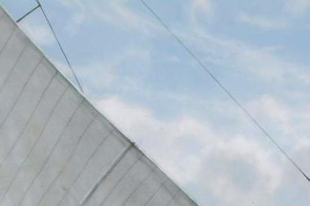 Фрагмент Candida and Velsheda, 1933