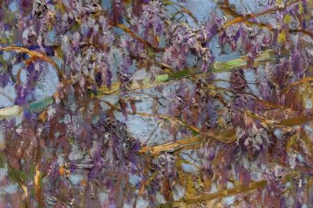 Фрагмент CAPRI