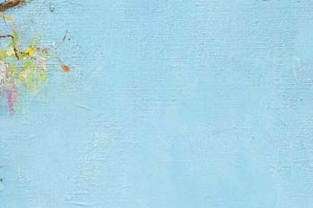 Фрагмент CAPRI