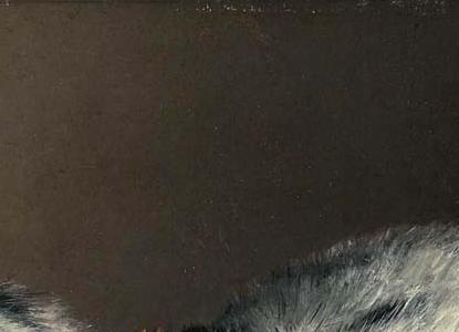 Фрагмент CAT